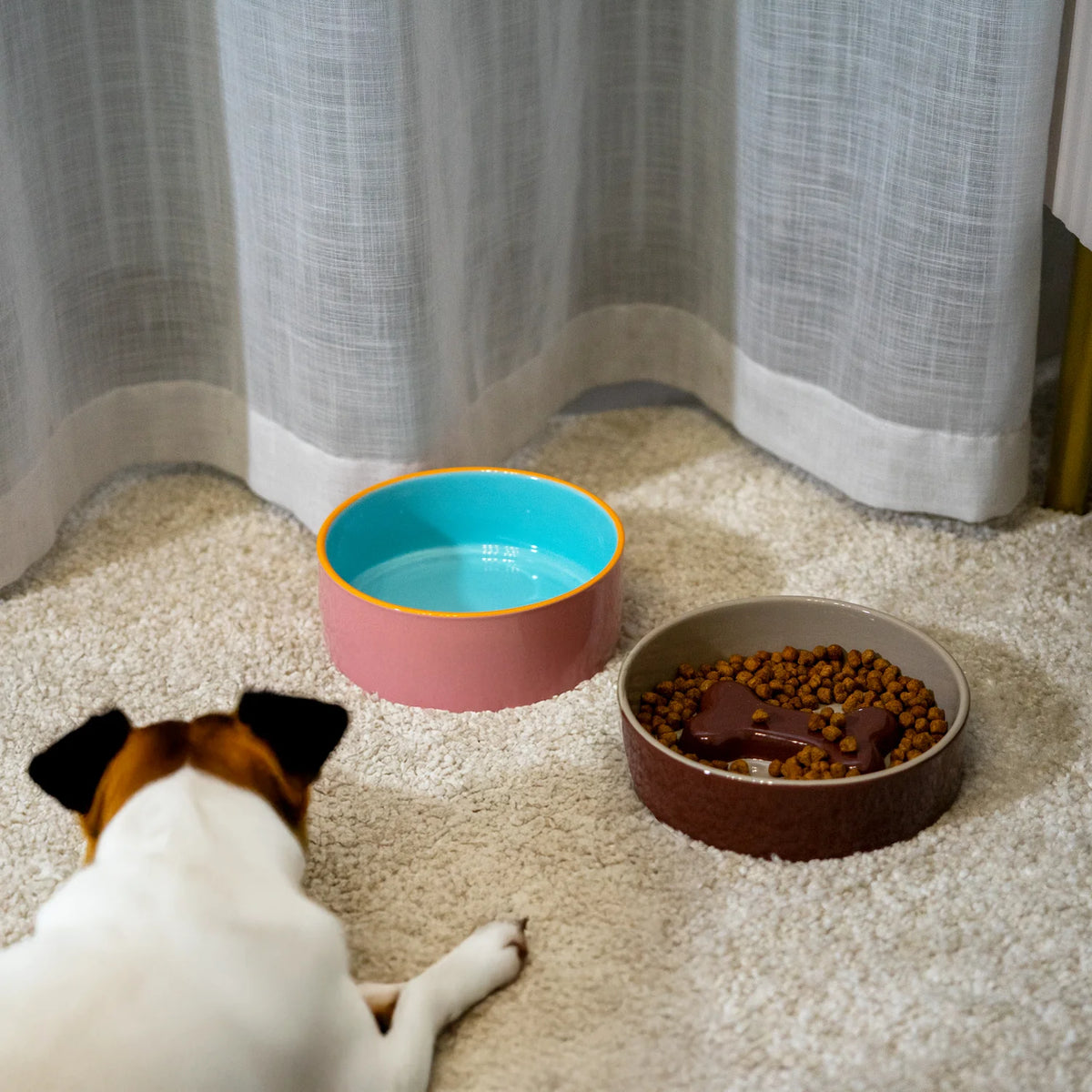 Bone Pet Bowl, photo 2