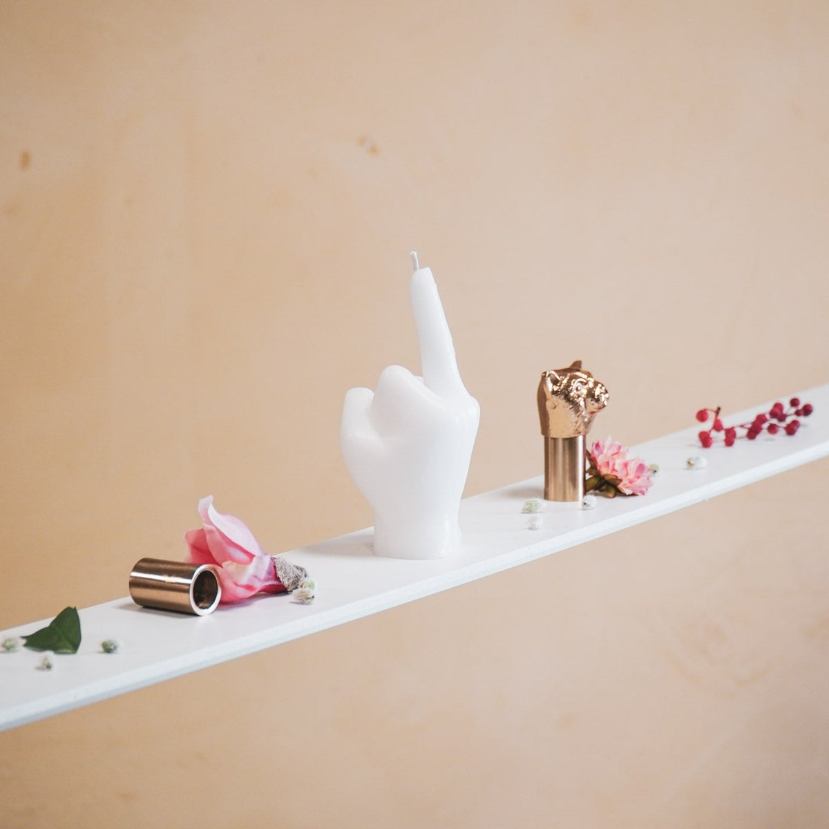 Middle Finger Candle, photo 13