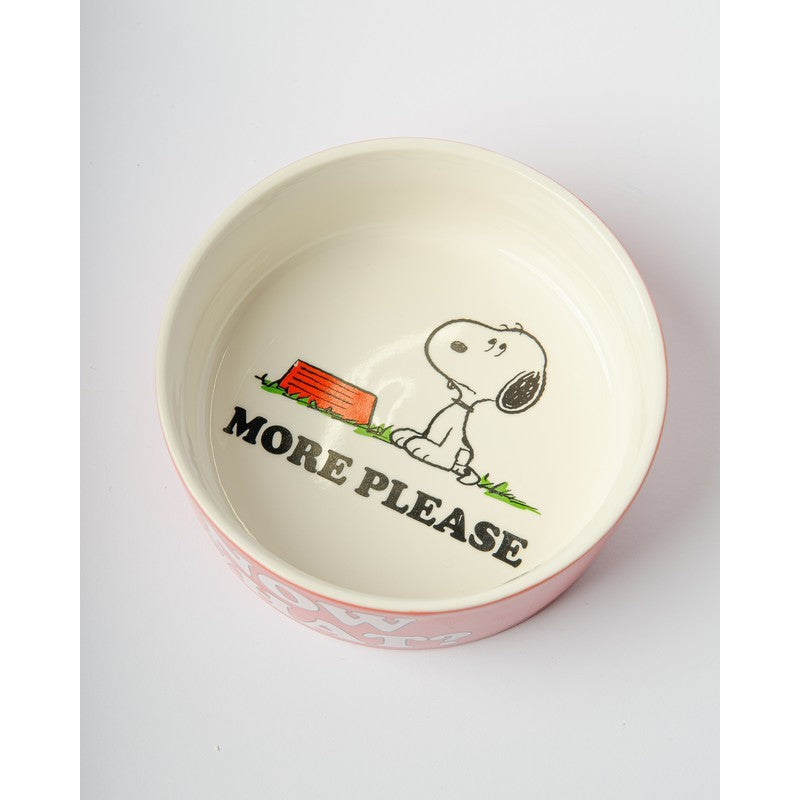 Snoopy Dog Bowl, photo 9