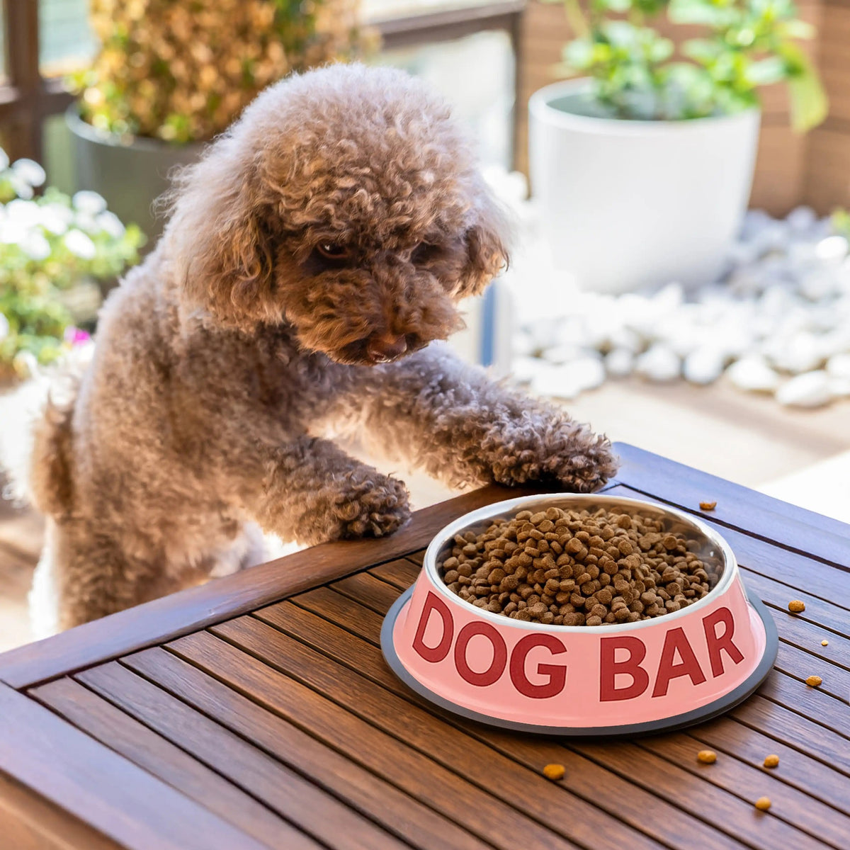 Dog Bar Dog Bowls, photo 7