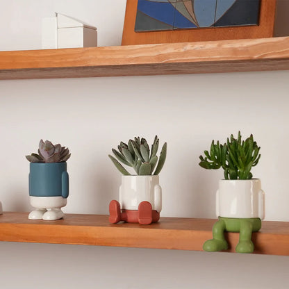 Mini Mr. Standy planter on a wooden shelf, three colours each holding a different succulent.