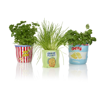 Pop Corn container vase next to the Crunchy Peanut and Chips vases, each planted differently.