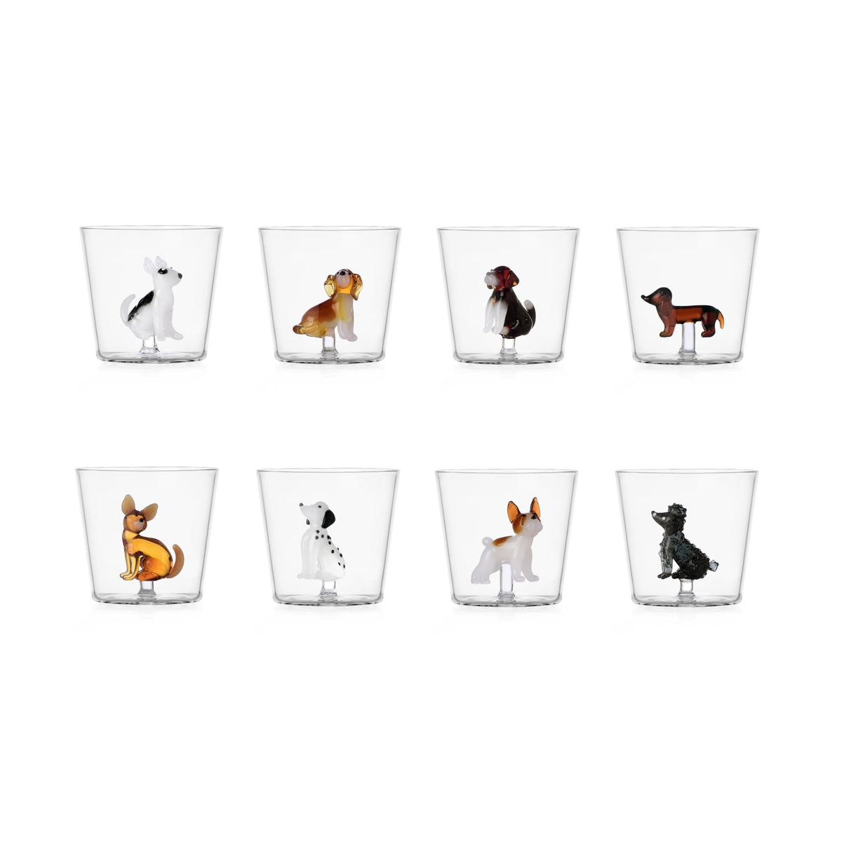 Dog Glass, photo 38