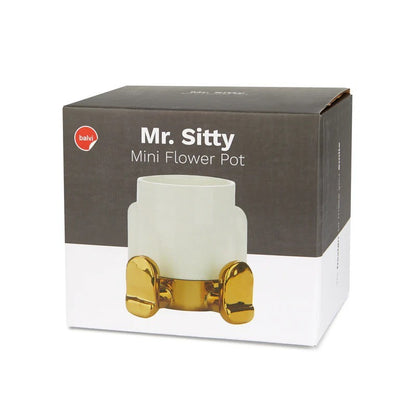 Mr. Sitty Vase, photo 9