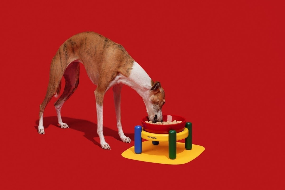 Chroma Pet Bowl with Stand and Mat, photo 3