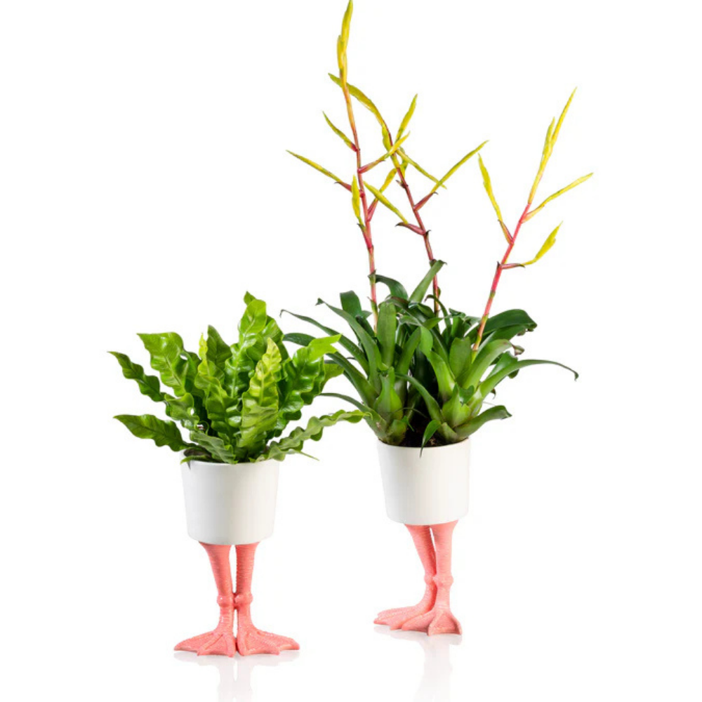 Fenicottero vase, two pieces on pink legs with different plants on white.