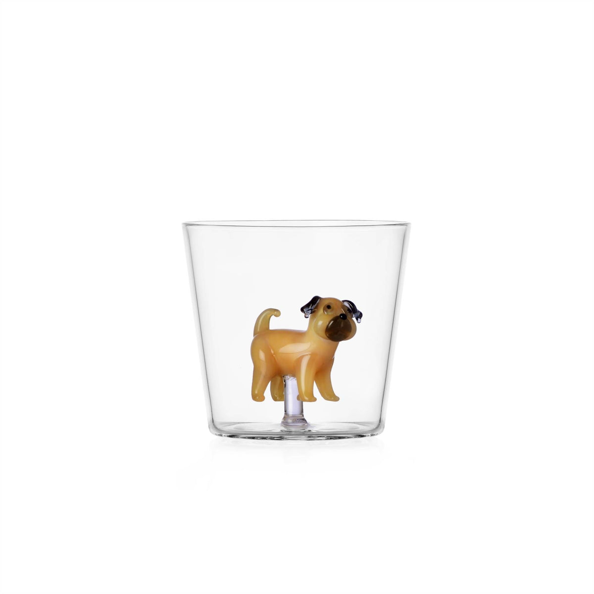Dog Glass, photo 7