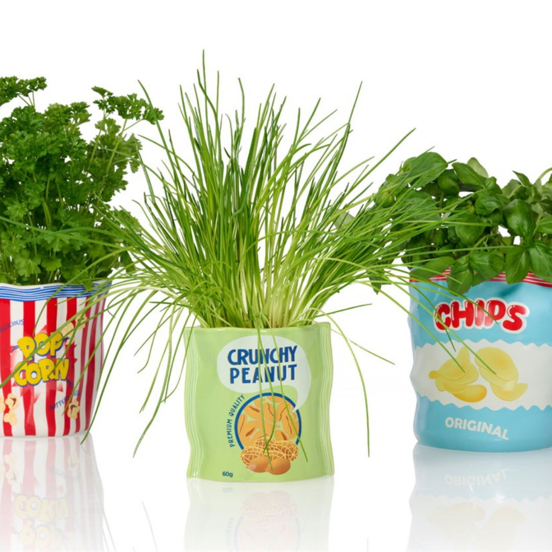 Vaso Crunchy Peanut
