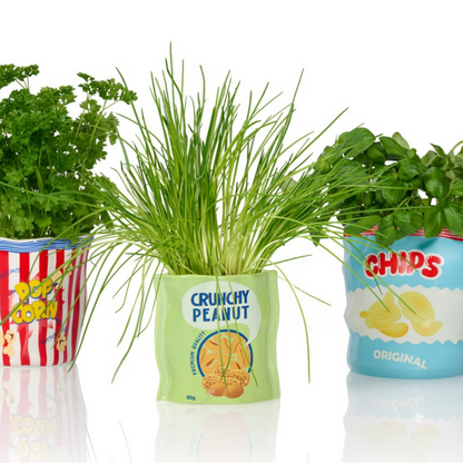 Crunchy Peanut vase next to the Pop Corn and Chips vases, each planted differently.