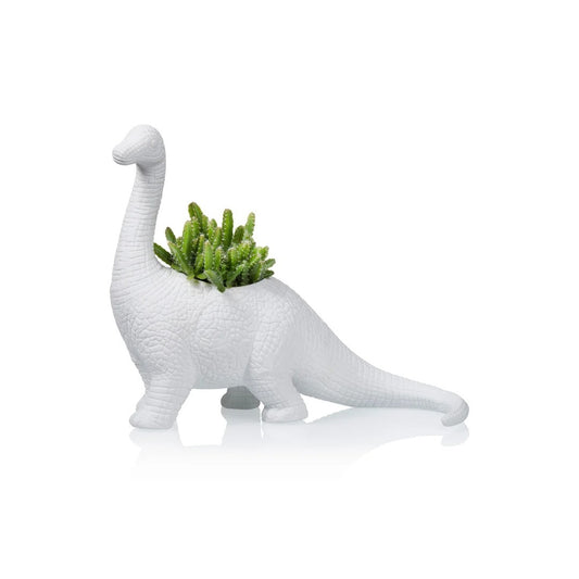Plantosaurus Vase - Strabello Design