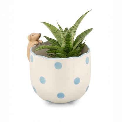 Vaso Cane che Sbircia, foto 2