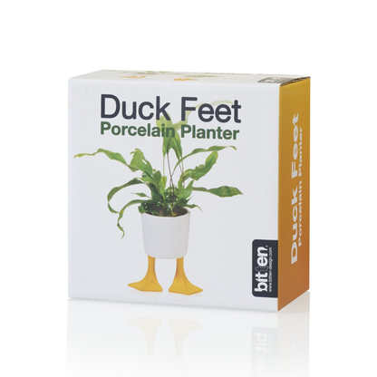 Duck Feet planter in its box, showing a photo of the planter with a plant.