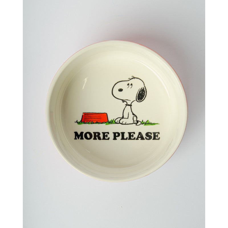 Snoopy Dog Bowl, photo 8