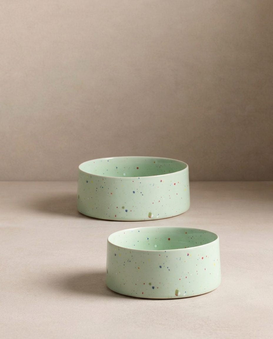 New Party Set of 2 Pet Bowls Green, photo 2