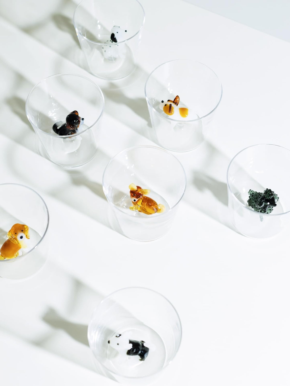 Dog Glass, photo 6