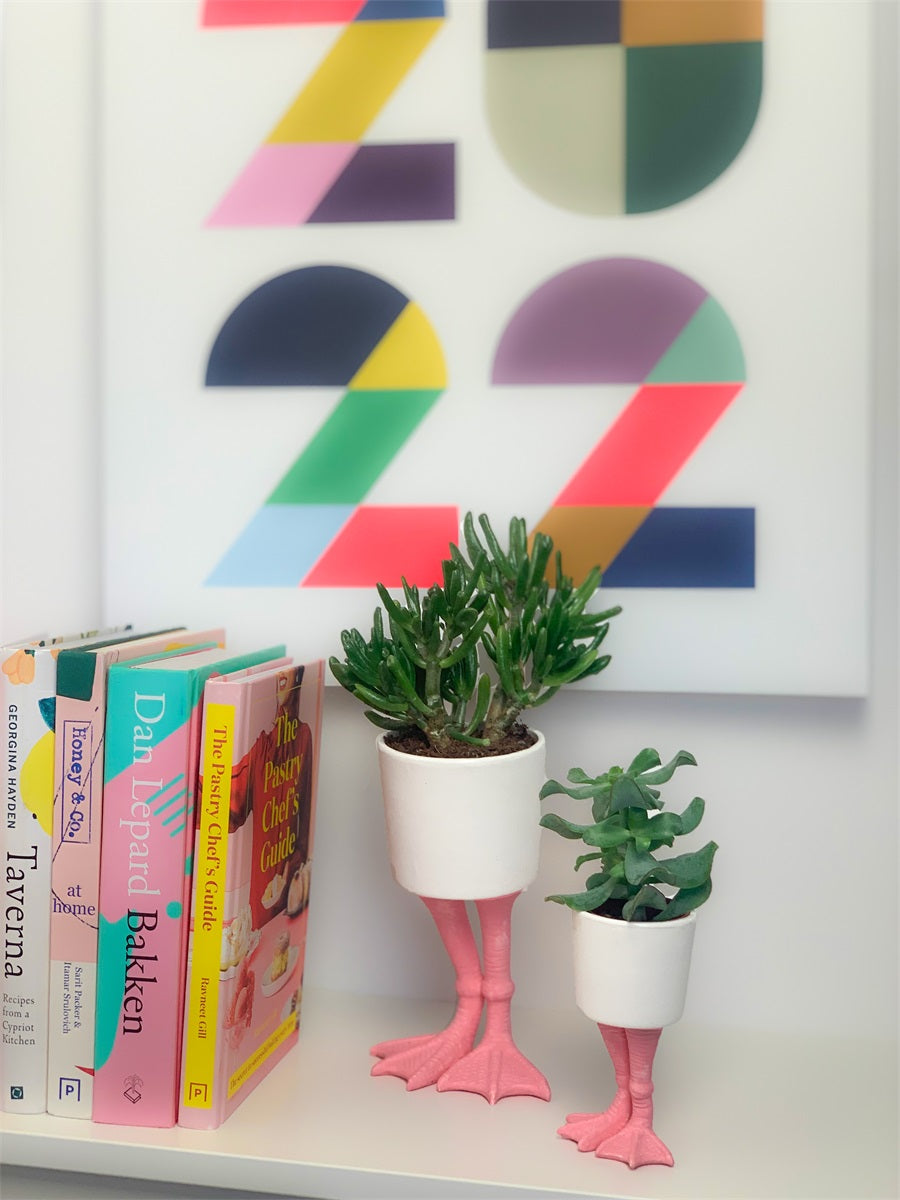 Fenicottero vase on a wooden shelf, among books and a colourful checked poster.
