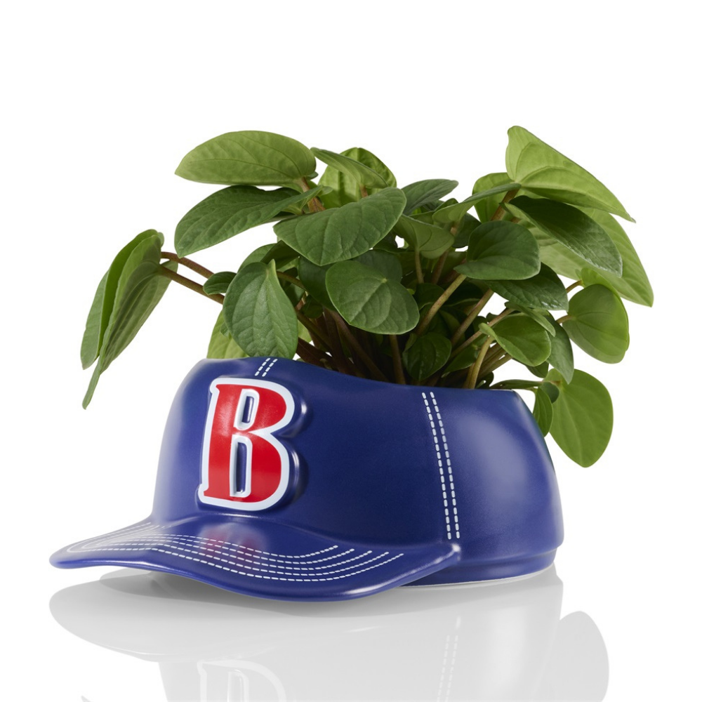 Vaso Ciotola Cappellino Baseball: a blue baseball cap with a red letter 'B', used as a planter with a green plant.
