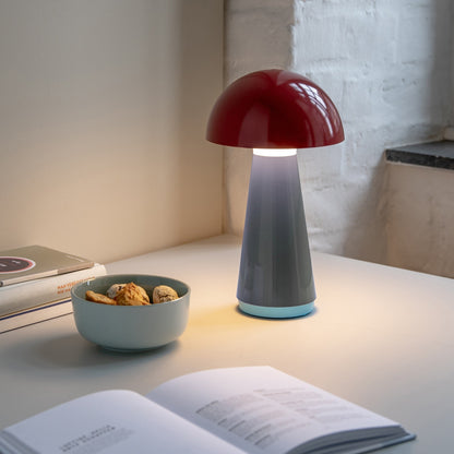 Bob Lampada a Fungo Lime, foto 3