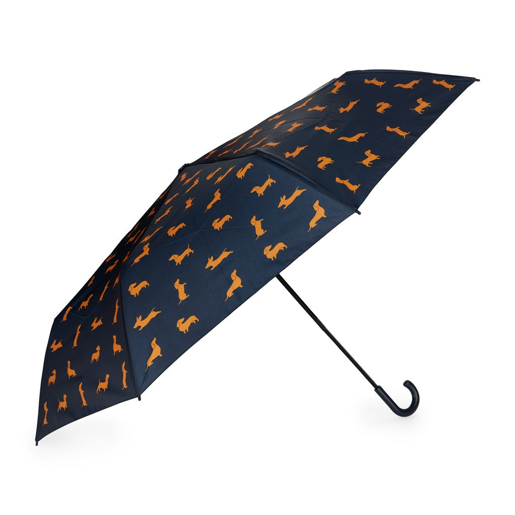 Dachshund Umbrella, photo 26