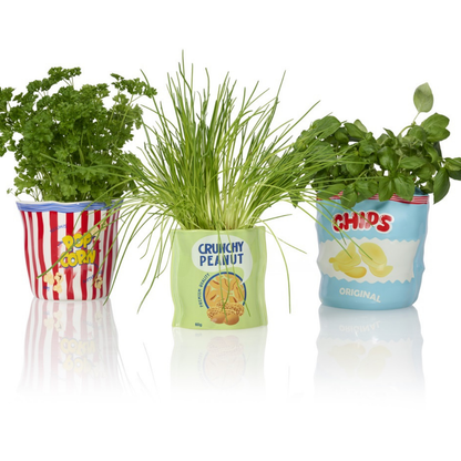 Chips vase next to the Pop Corn and Crunchy Peanut vases, each planted differently.