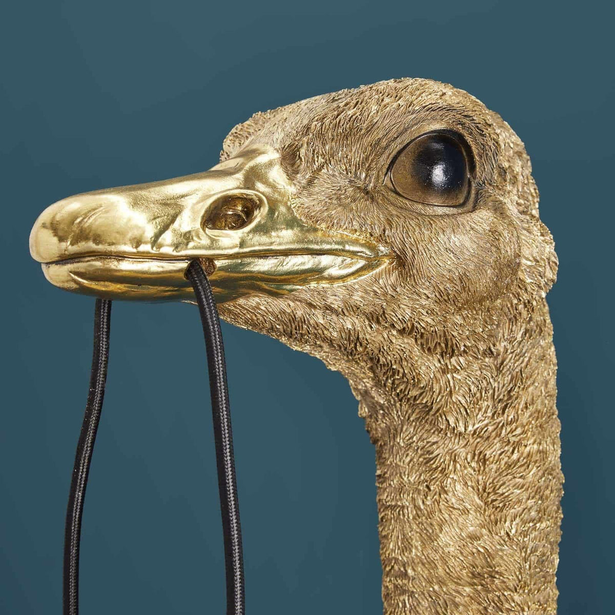 Franz Josef Ostrich Wall Lamp, photo 5
