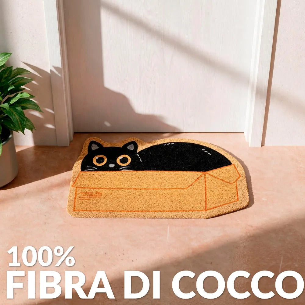 Gatto Scatola, foto 4