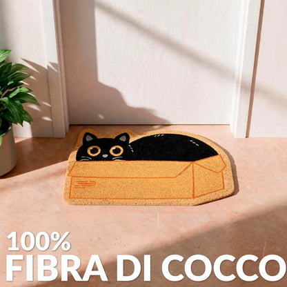 Gatto Scatola, foto 4