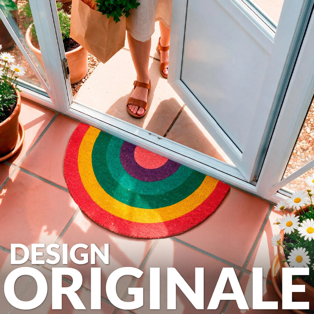 Zerbino Arcobaleno, foto 2