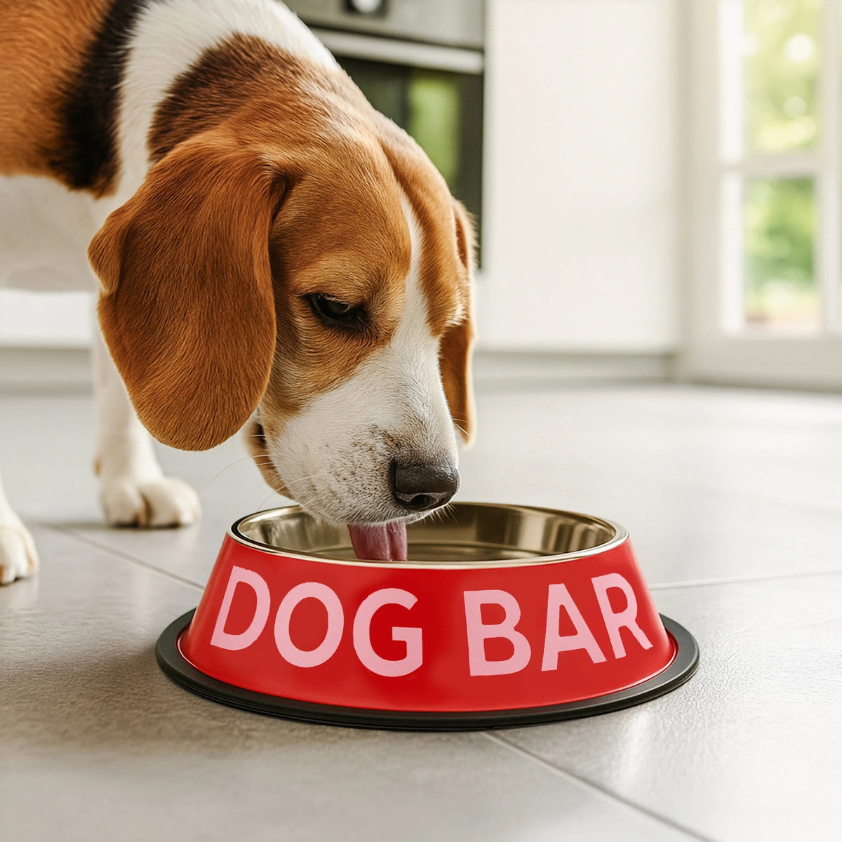 Dog Bar Dog Bowls, photo 5