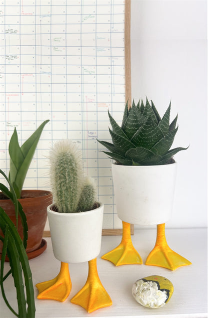 Two Duck Feet planters holding a cactus and a succulent, on a shelf.