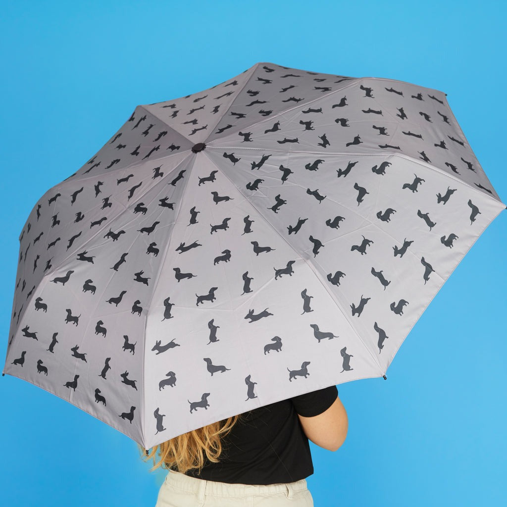 Dachshund Umbrella, photo 21