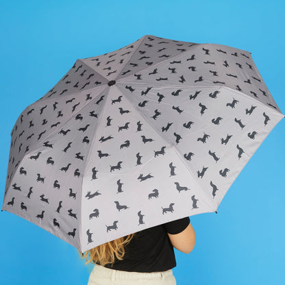 Dachshund Umbrella, photo 21
