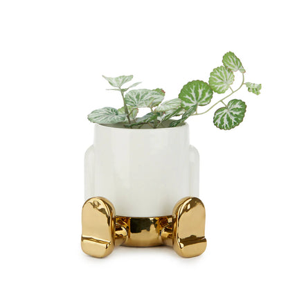 White pot on curved gold feet, holding a green trailing plant