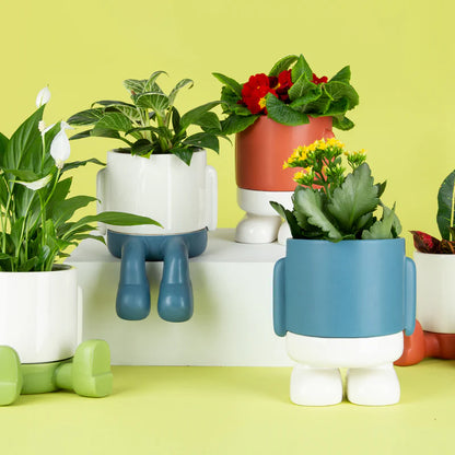 Mr. Standy flower vase alongside similar vases with plants, on a green surface
