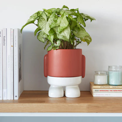 Mr. Standy flower vase with a leafy green plant on a shelf of books