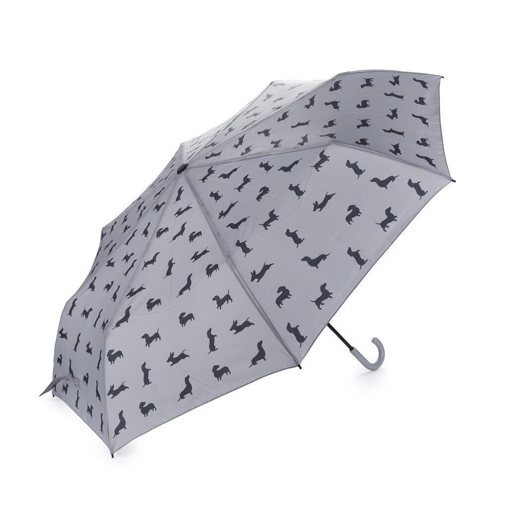 Dachshund Umbrella, photo 18