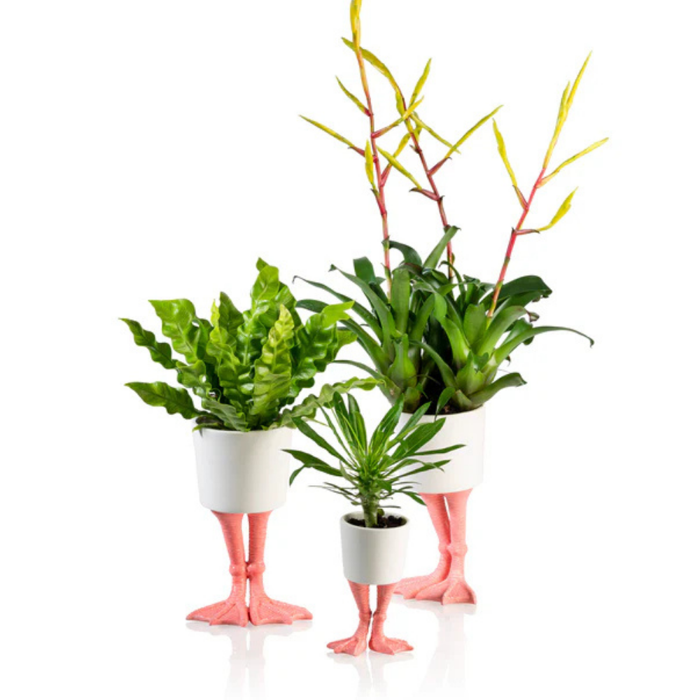 Fenicottero vase, two pieces on pink legs with different plants on a white background.
