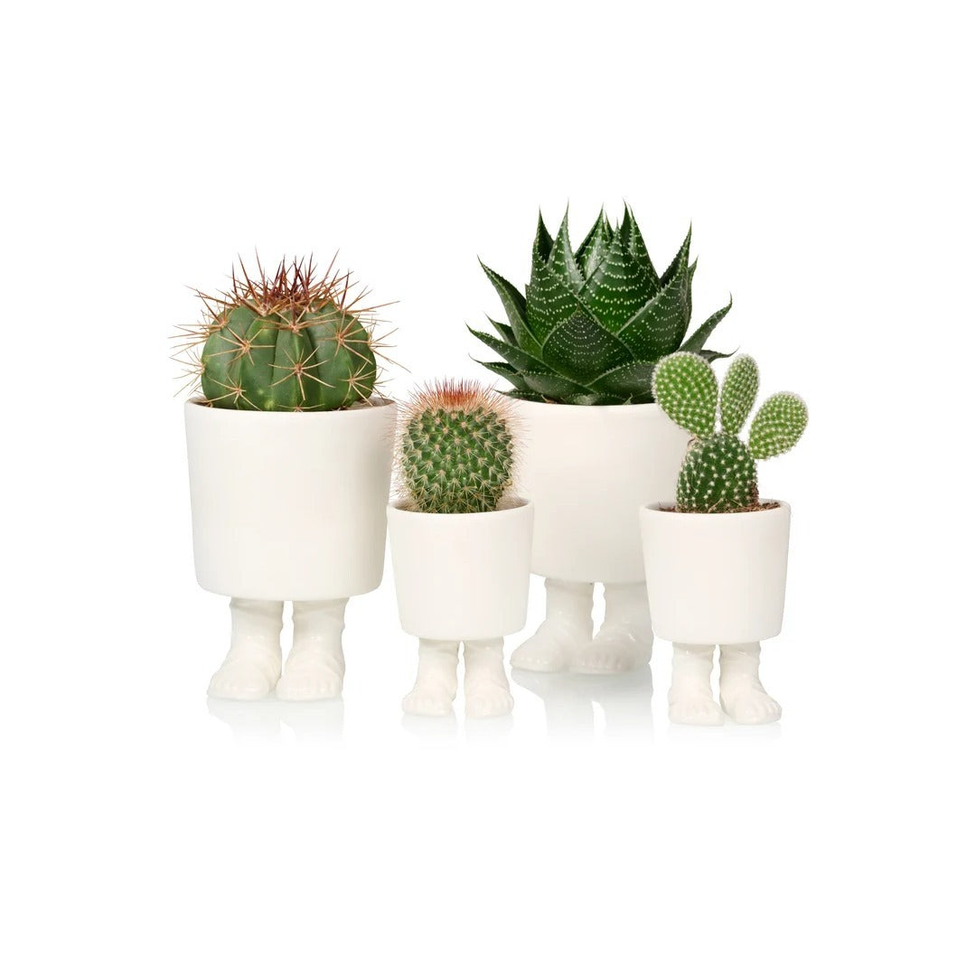 Gladiator Sandal Vase - Strabello Design