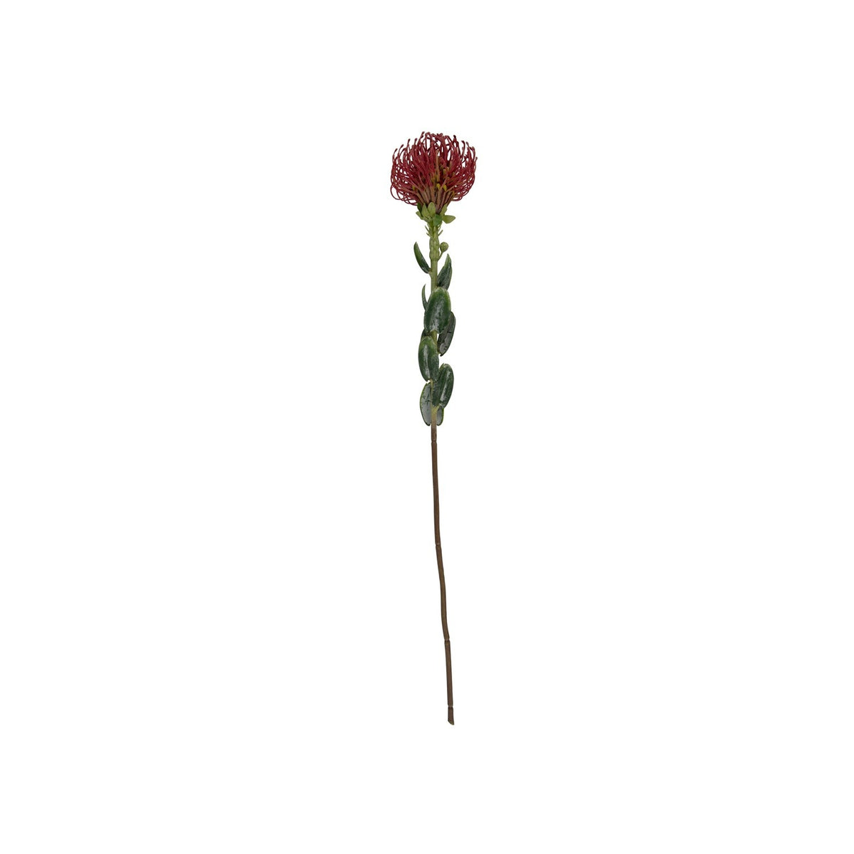 Artificial Protea, photo 4