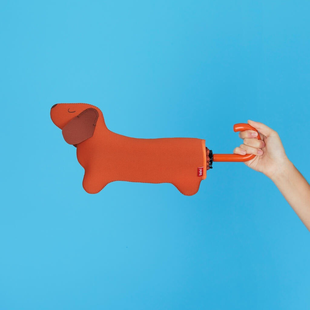 Dachshund Umbrella, photo 8