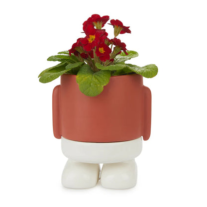Terracotta robot-shaped planter with legs, holding red flowers