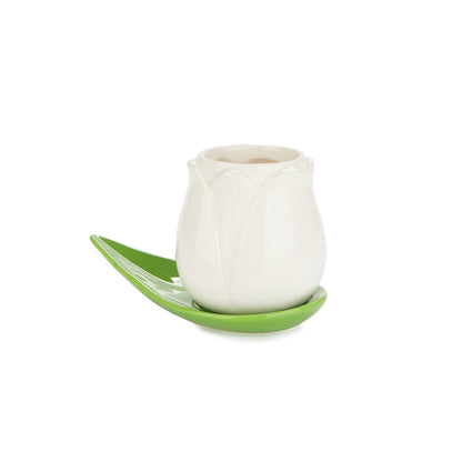White Tulip cup on a green leaf saucer, on a white background