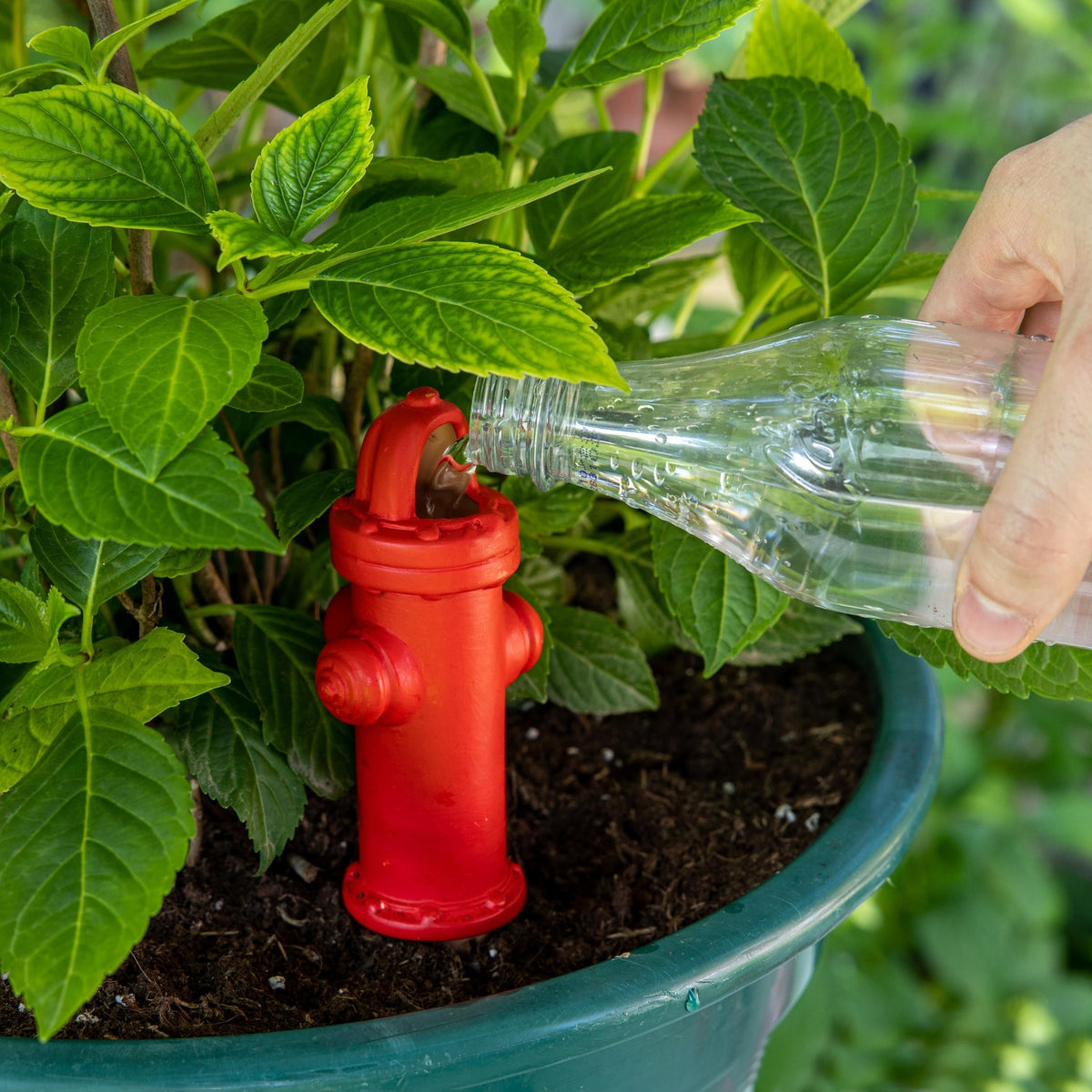 Fire Hydrant Plant Waterer, photo 3