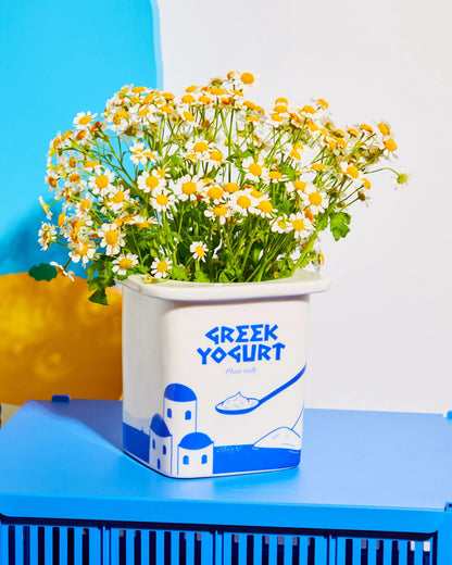 Vaso Yogurt Greco, foto 2