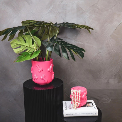 Large Cheeky Plant Pot, photo 12