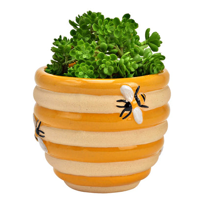 The Alveare vase with a green succulent planted inside.