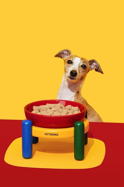 Chroma Pet Bowl with Stand and Mat, photo 2