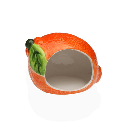 Fruit Sponge Holder - Strabello Design