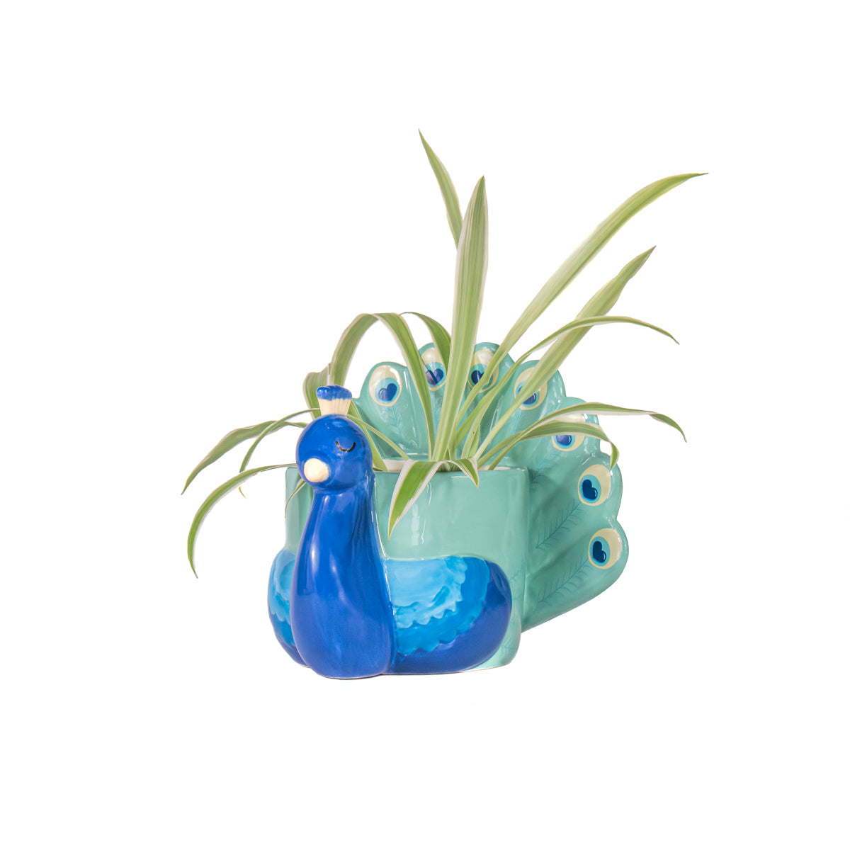 The Mini Pavone vase with long thin green leaves growing from the peacock's body.