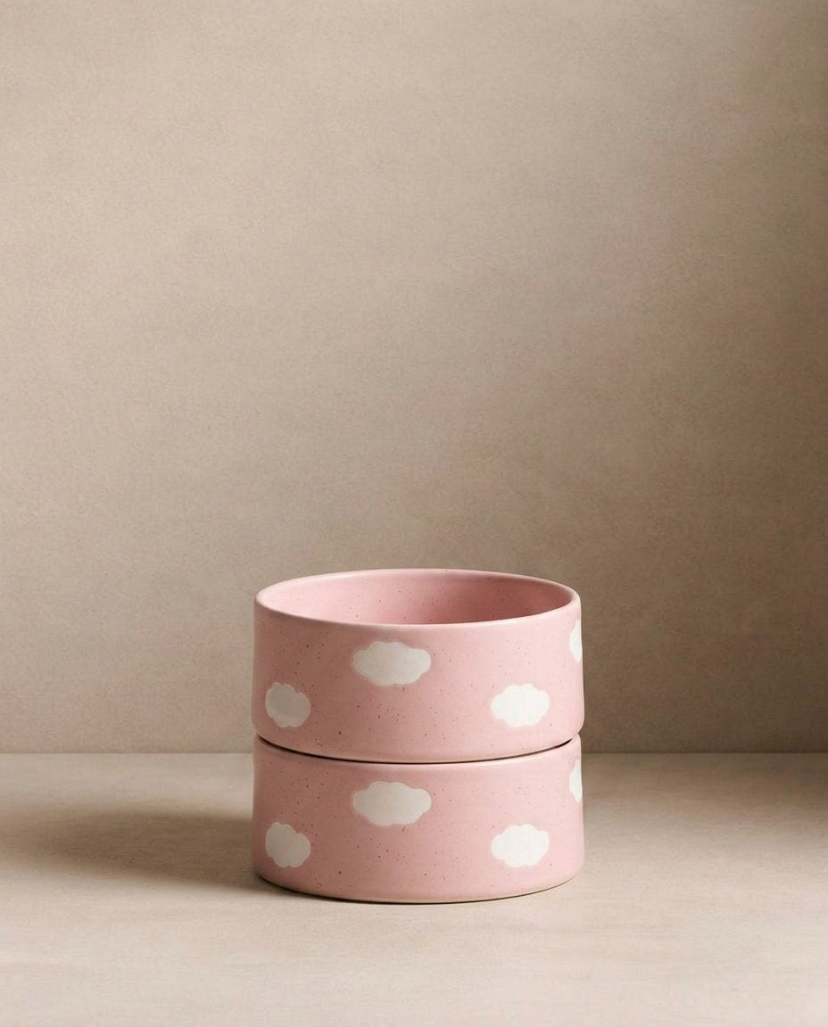 Pink Cloud Set of 2 Pet Bowls - Strabello Design